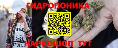 герыч Бердск