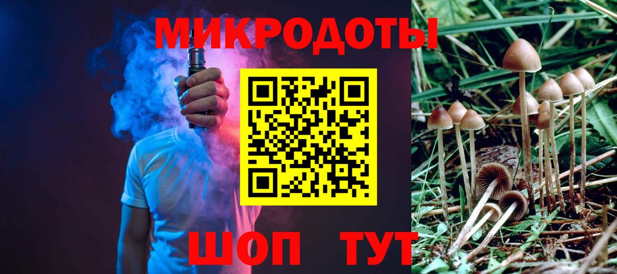 Псилоцибиновые грибы Psilocybine cubensis Костомукша