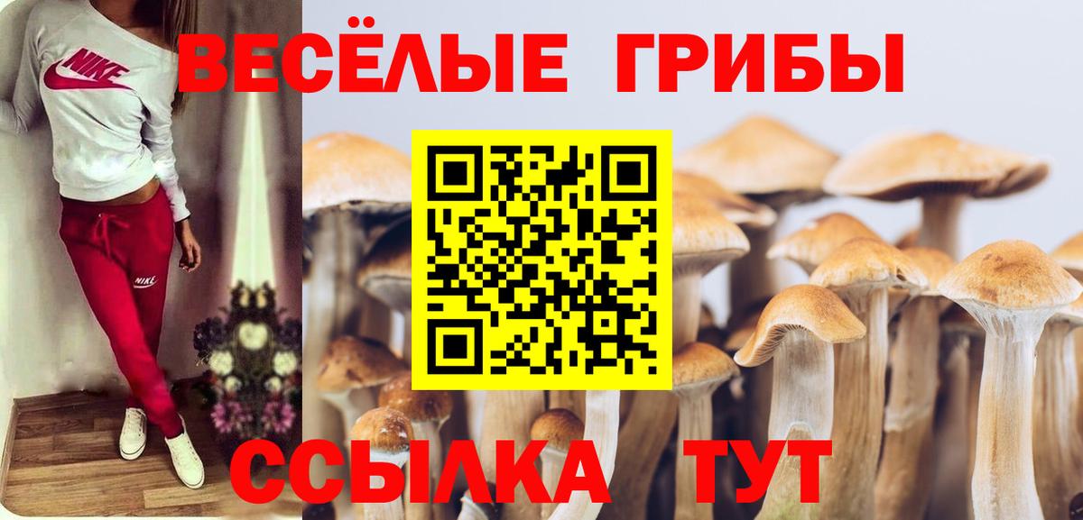дарнет шоп  Галлюциногенные грибы Psilocybe  Вход с VPN  Костомукша 